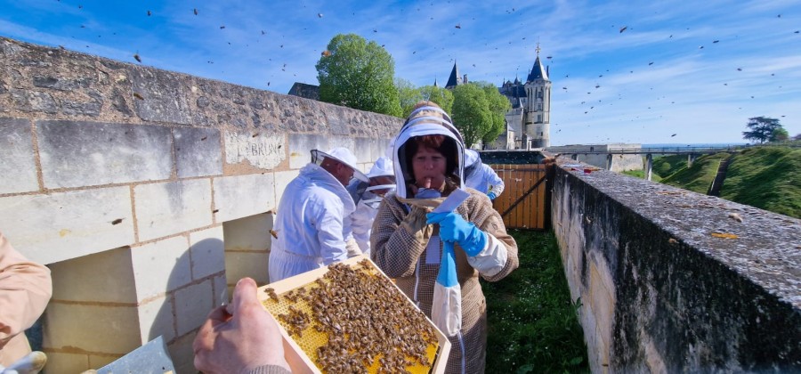 Vente de la nouvelle récolte de miel 