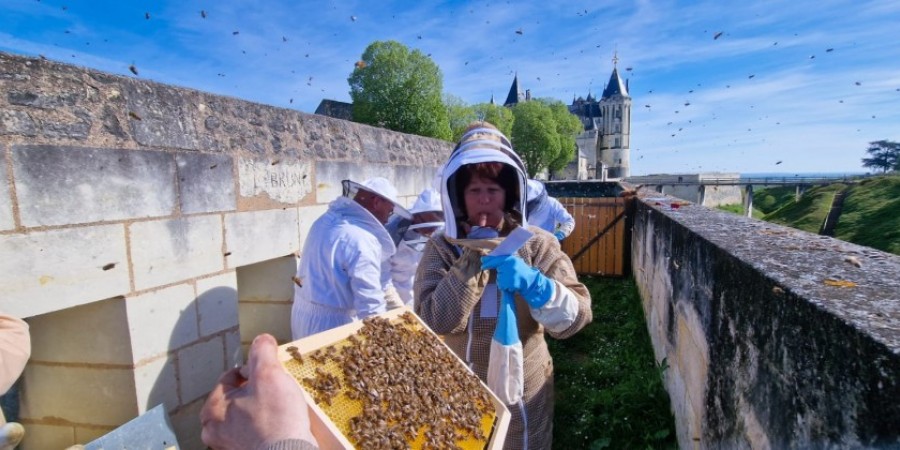Vente de la nouvelle récolte de miel 