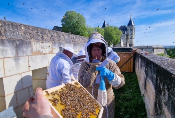 Vente de la nouvelle récolte de miel 